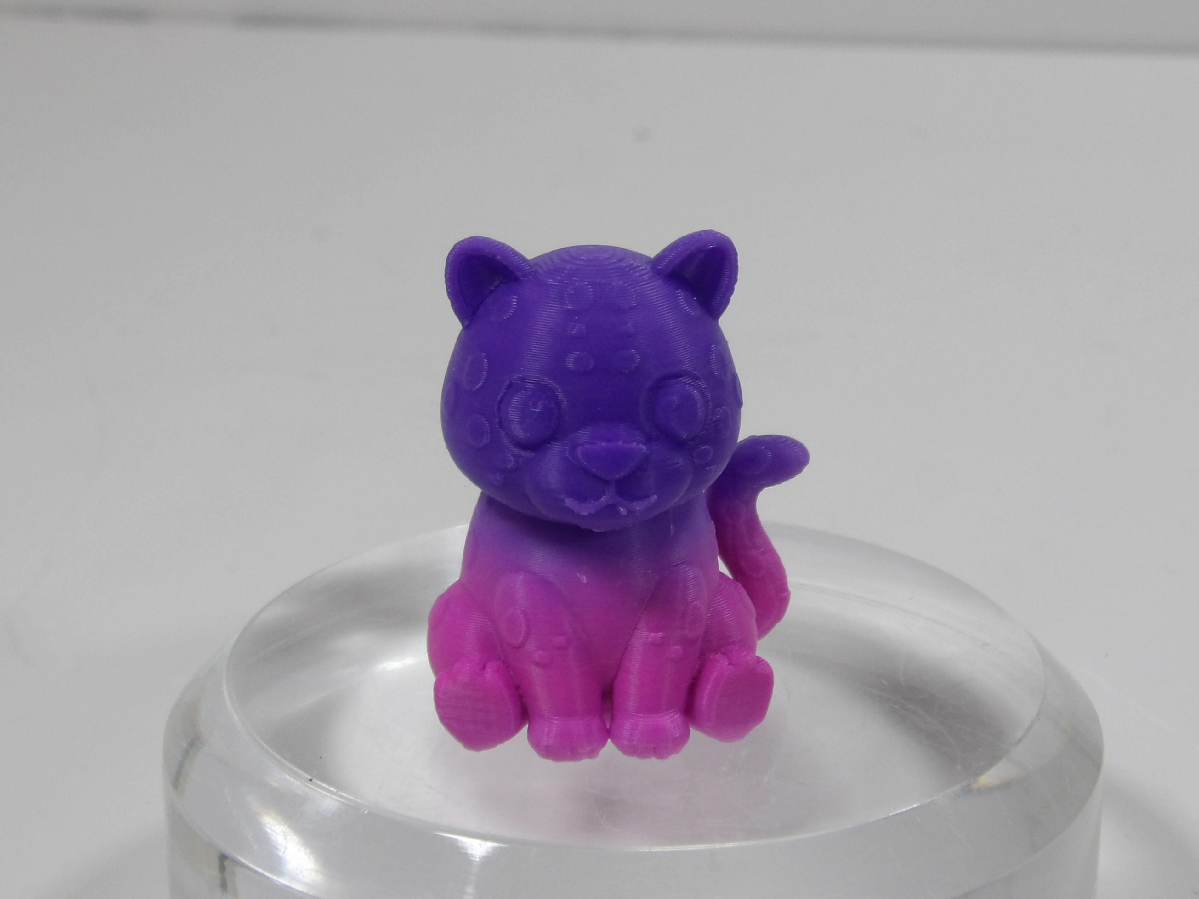 3D Printed Mini Leopard