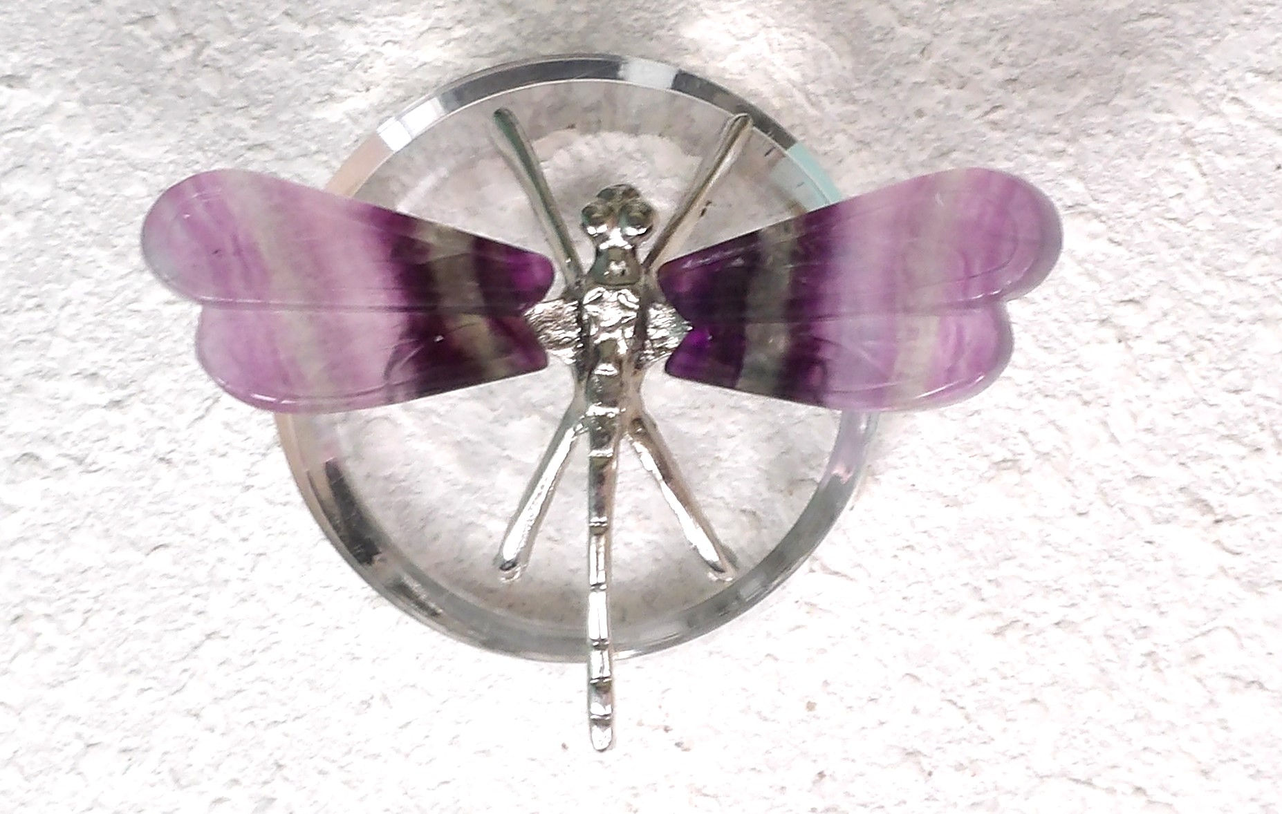 Dragonfly with Metal Body