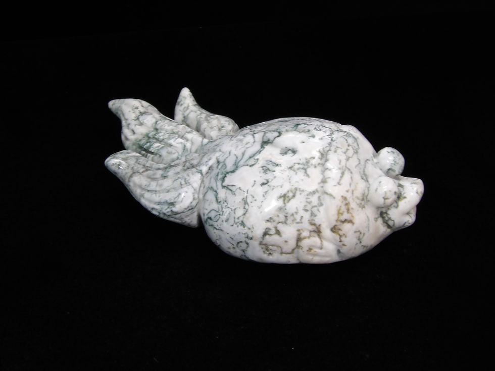 Thumbnail: moss agate fish