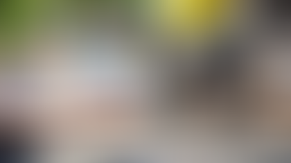 Só não compõem base do ISS materiais de construção que se sujeitem ao ICMS