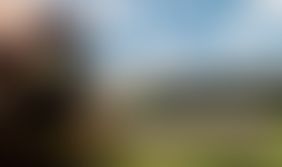 Desconsideração da personalidade jurídica nem sempre atinge o administrador não sócio