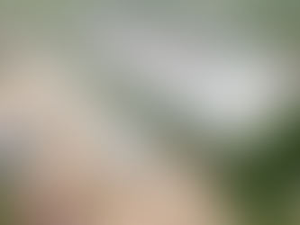 Sudene aprova 58 pleitos de incentivos fiscais para empresas que investiram R$ 2,9 bilhões na região