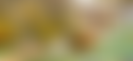 Indústrias de recicláveis podem ter crédito e isenção das contribuições sociais