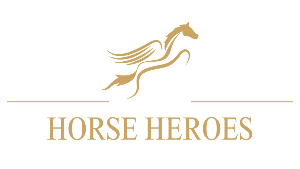 Markenlogo Horse Heroes