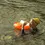 Thumbnail: Hydration Tow Float