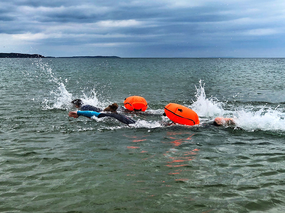 Thumbnail: Wild Swim Bag