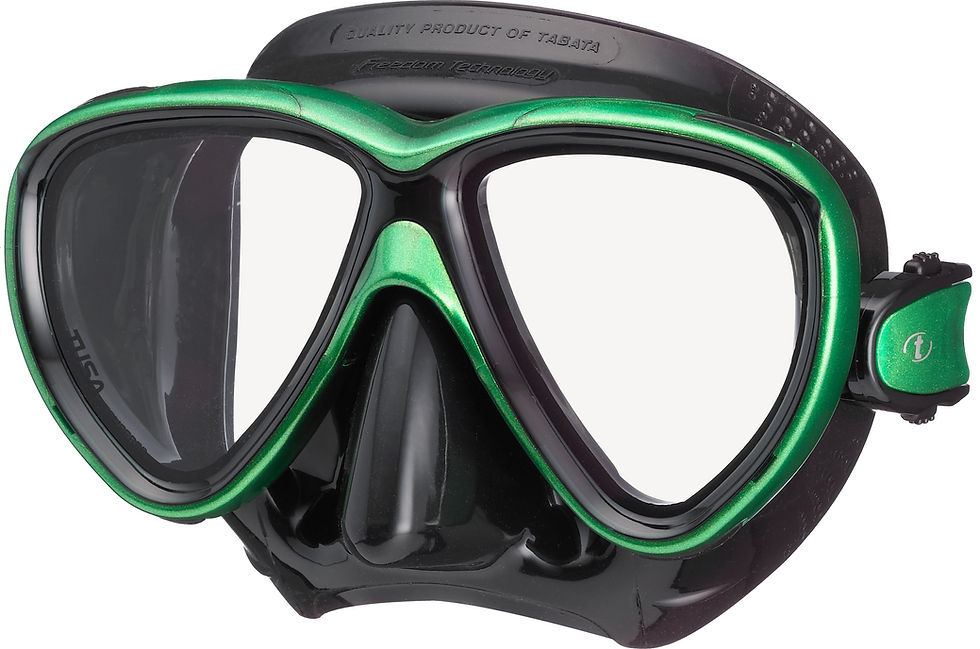 Thumbnail: Freedom One Mask (Opaque silicone skirt)
