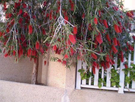 Сделки с недвижимостью.