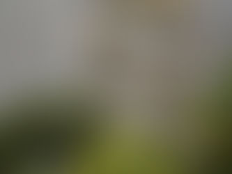 Общая  собственность жильцов.