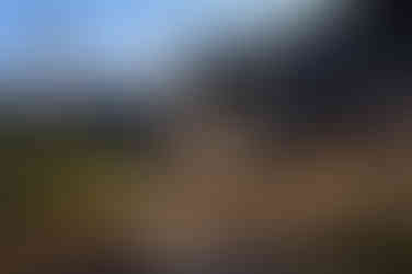A white rope hammock strung between two wooden posts nestled among large desert boulders and shrubs.
