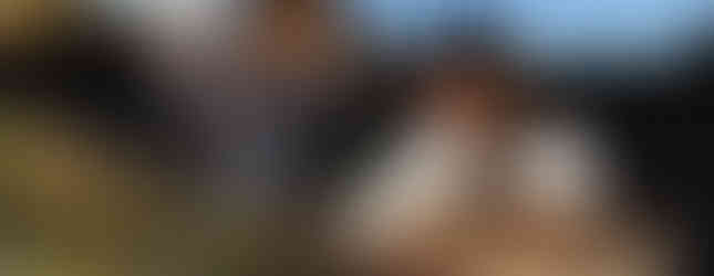 A woman and a young child laughing and playing among yellow wildflowers at a Joshua Tree vacation rental during the golden hour.