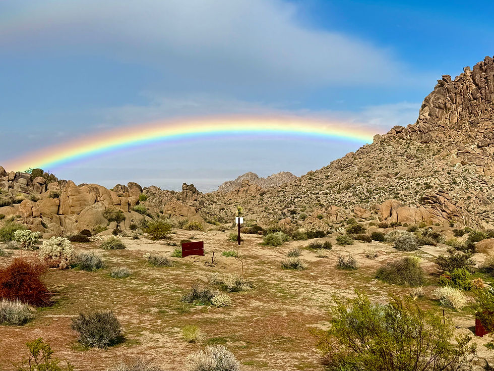 A wide view of a vibrant rainbow arching over a rugged Joshua Tree landscape with rocky hills and desert shrubs under a blue sky.
