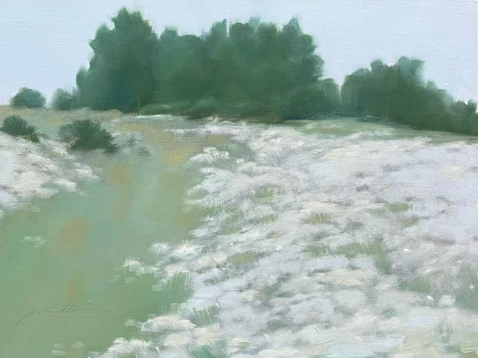 Queen Ann’s Place 9”x 12” oil on panel