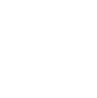 Vinyl.png