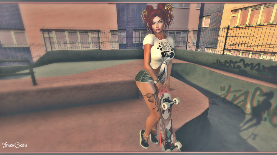 The Skate