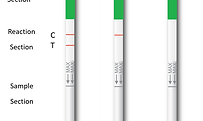 COVID Result picture