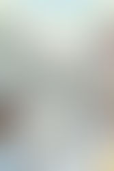 Actuele Ontwikkelingen in de Vastgoedmarkt: Wat Gebeurde er de Laatste Twee Weken?