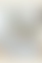 Voeding en Gezondheid in 2025: Praktische Inzichten voor de Nederlandse Consument