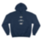 Thumbnail: Warrior, Scholar, Healer Champion Hoodie