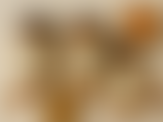 Additive-Free Seasoning Blends in Florida: Where to Find Clean Flavor