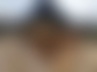 Roofline works in Thorpe St Andrew