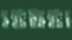 Orman-min.jpg