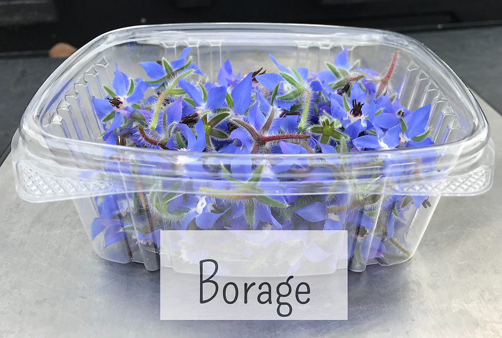 Thumbnail: Confetti Mix - Small Edible Flowers & Petals