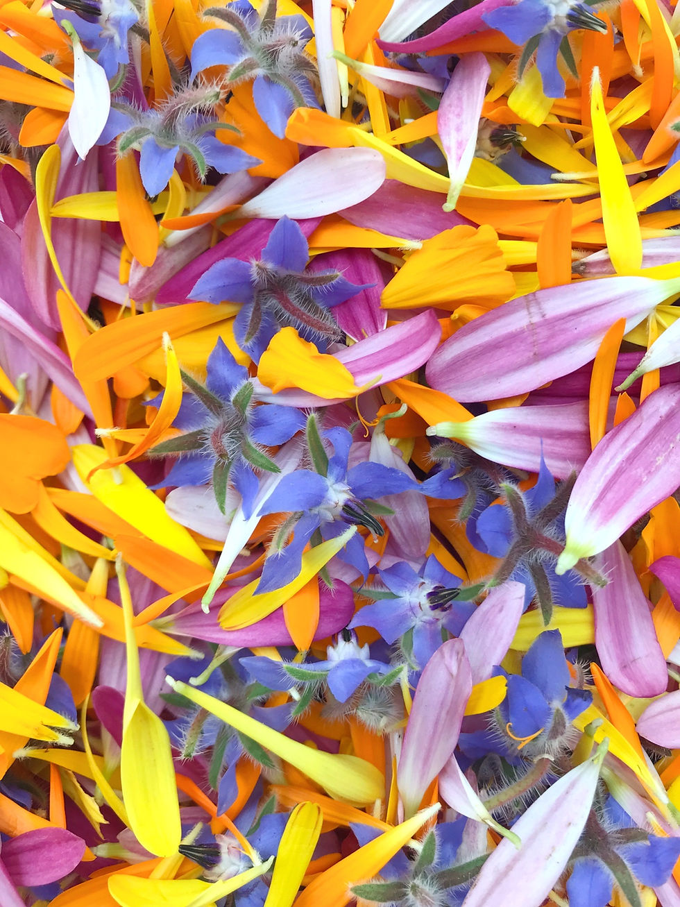 Thumbnail: Confetti Mix - Small Edible Flowers & Petals