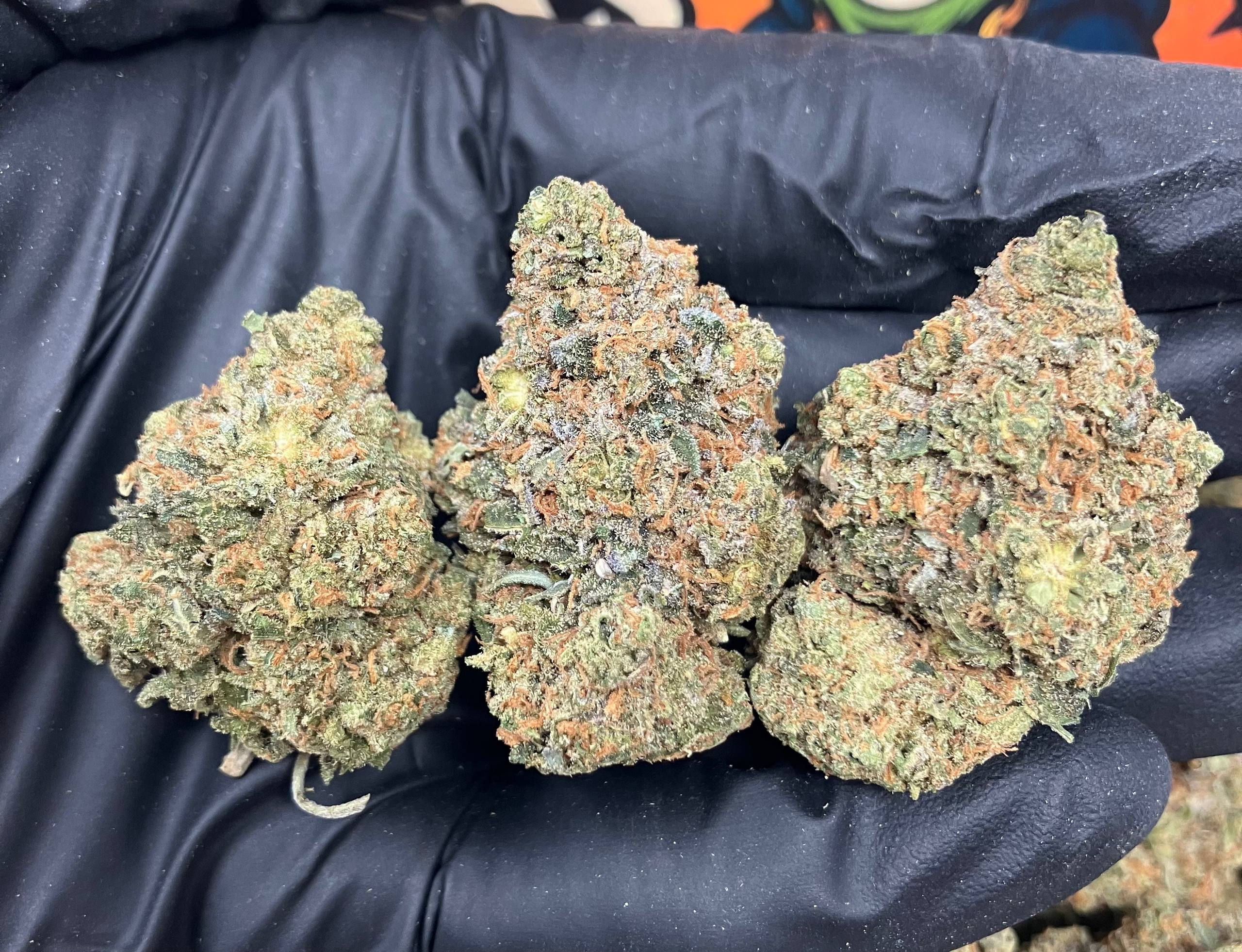 Birthday Cake #LB159