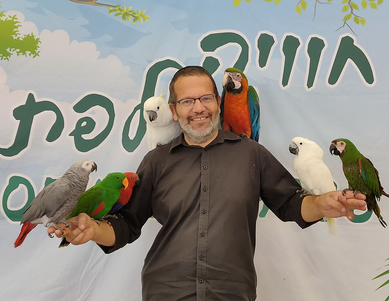 המפעיל שלנו