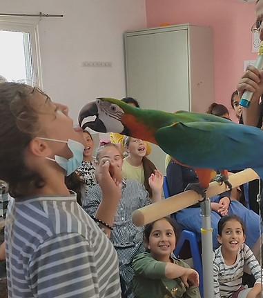 מתוך המופע
