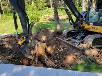 Stump Removal_edited.jpg