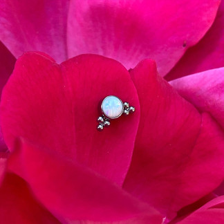 Joyería de titanio