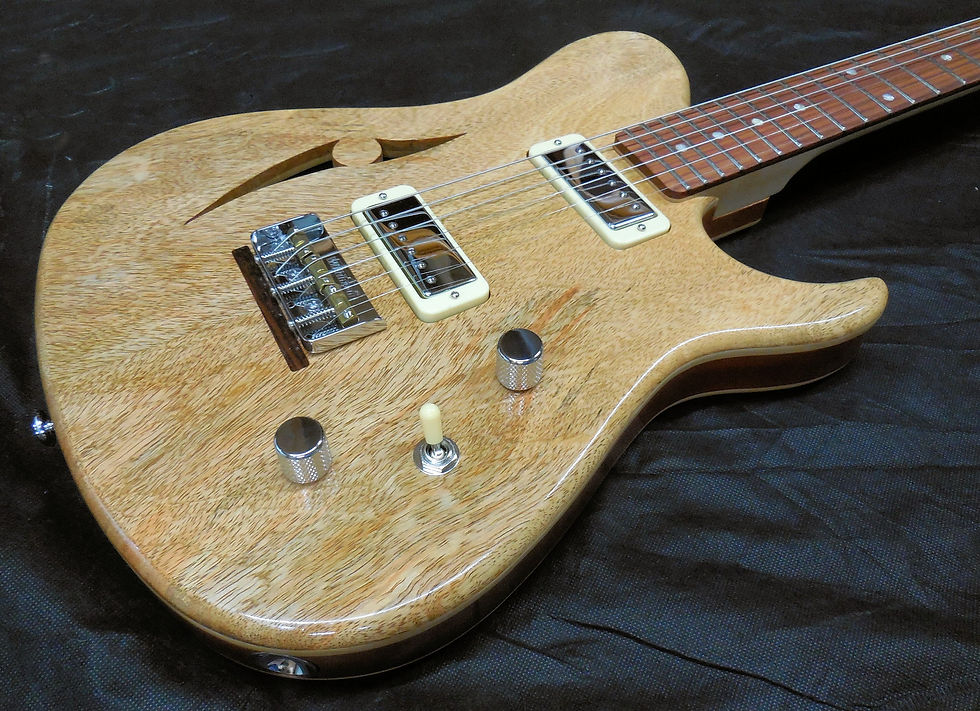2019-039 TY255 guitar