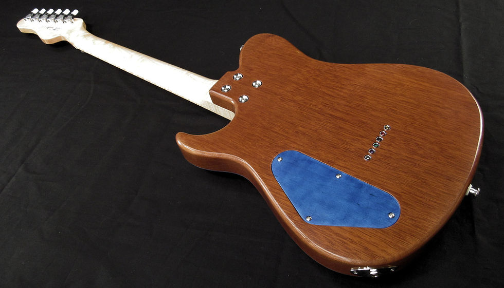 2023-071 TY255 guitar