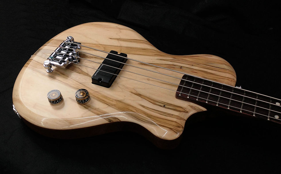 2022-062 LV300 Bass