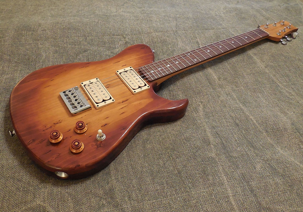 2014_005 T45 guitar