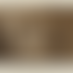 La basilique Saint-Denis et le musée des Monuments français : un parti pris révolutionnaire !