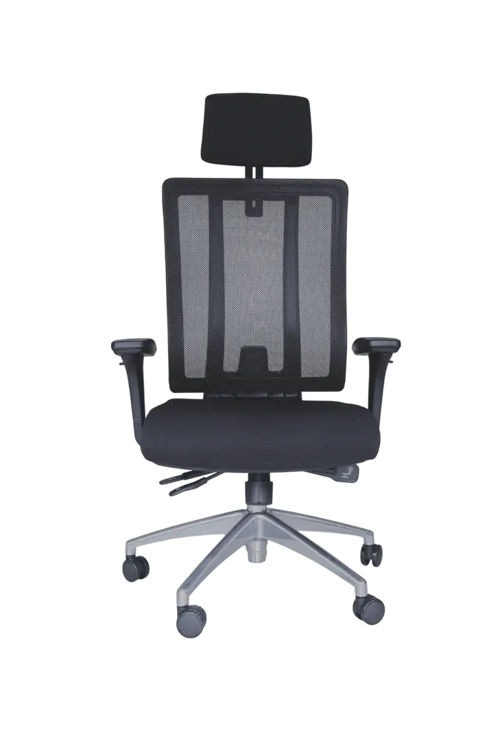 Thumbnail: Human Ergo High Back