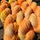 Thumbnail: Blacklight Orange