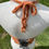 Thumbnail: Burnt Orange w/ Gray Lace Halter Top