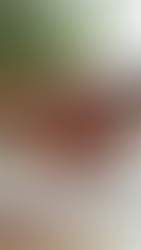 Mediação profissional para resolver disputas de forma eficaz