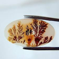 Scenic Agate