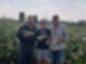 Three people standing in a cornfield holding corn.