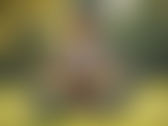 Join the Movement: Women in Wellness and Health