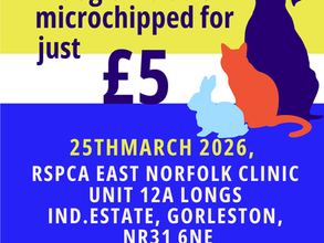 Microchip your pet for £5