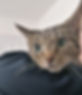 Empty png.png