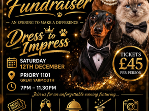 Dinner/Auction Limited Spaces Available
