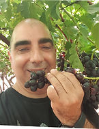 פארק קנדה.jpg