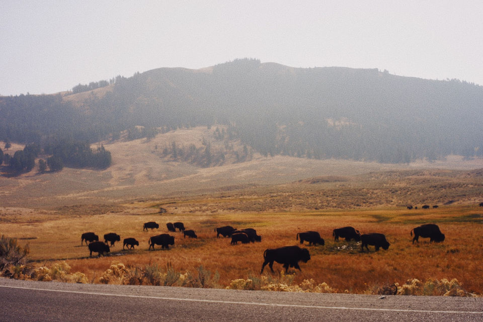 EC779DA0-AA89-4E42-9E73-C6A9D2CDCC5A 3.JPG